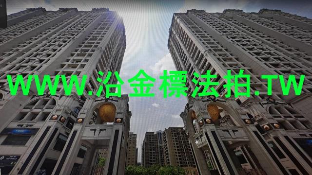 新北大樓法拍-2