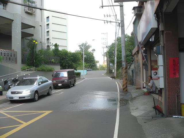 龜山法拍大樓-3