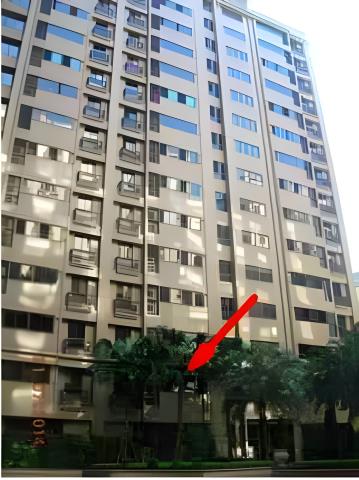 樹林法拍大樓-2